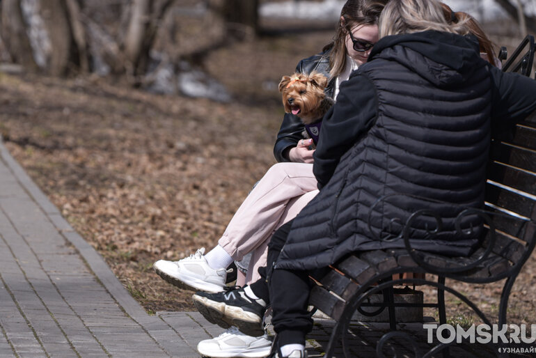 Солнце, +20, весна: томичи наслаждаются теплыми апрельскими выходными
