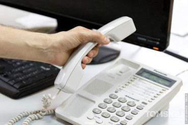 В Томской области работает горячая линия Роспотребнадзора по клещам