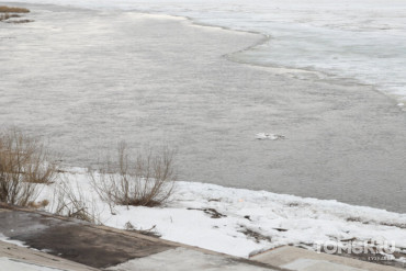 В МЧС предупредили о грозах и ветре до 23 м/с в Томской области 