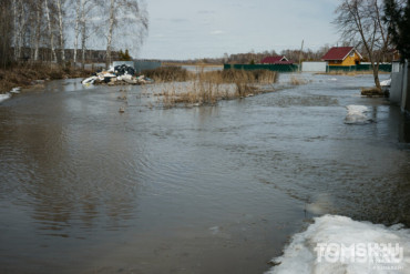 Уровень воды в реке Томь в Томске начал снижаться — мэр