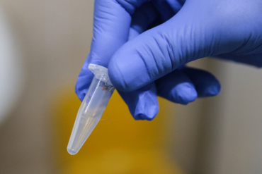 Клещ напал на ребенка в Томском районе – это первый случай в сезоне