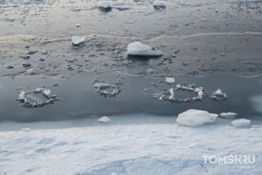 МЧС: возможно подтопление участков в трех селах Томской области