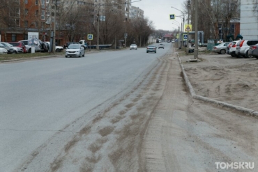 Власти рассчитывают справиться с пылью в Томске к июню