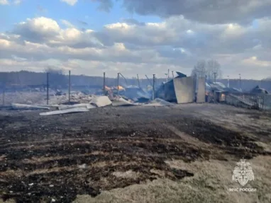 Перехлест проводов мог стать причиной крупного пожара в Шегарском районе 