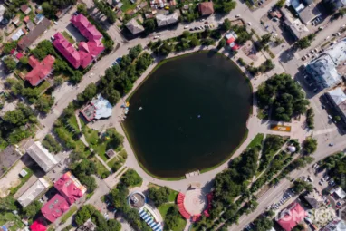 Томичи останутся без катка на Белом озере из-за мора рыбы