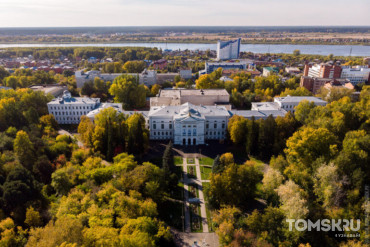 ТГУ планирует благоустройство Университетской рощи