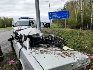 Под Томском «Волга» врезалась в столб: пассажирку доставали спасатели