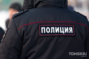 Полиция ищет водителя, сбившего собаку Женьку в томском Зональном