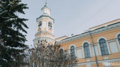 Воскресить или клонировать: в Томском краеведческом музее пройдет лекция о мамонтах