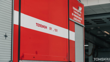 Десять коз и кролики погибли при пожаре в Кафтанчиково под Томском