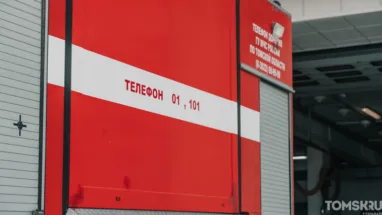 Десять коз и кролики погибли при пожаре в Кафтанчиково под Томском