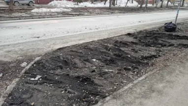 Новосибирцы раскритиковали благоустройство газонов в городе