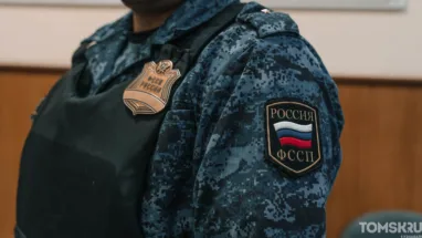 Томич задолжал своим детям более 600 тысяч и прятался от приставов в шкафу