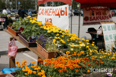Большая ярмарка для дачников пройдет в Томске