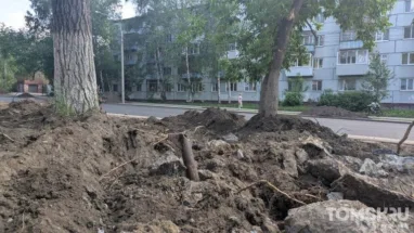 «Томск превращается в город обрубков»: эксперты опубликовали открытое письмо мэру