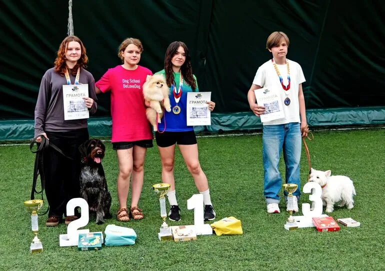 Томичи заняли призовые места на чемпионате и первенстве Сибири по кинологическому спорту