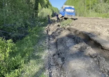 Трасса Кедровый — Парбиг в Томской области: автомобили тонут в глине