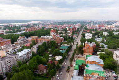 Пик наступил: мошка заедает томичей и продолжит как минимум до августа