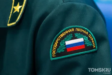 Грозы стали причиной 11 пожаров в Томской области