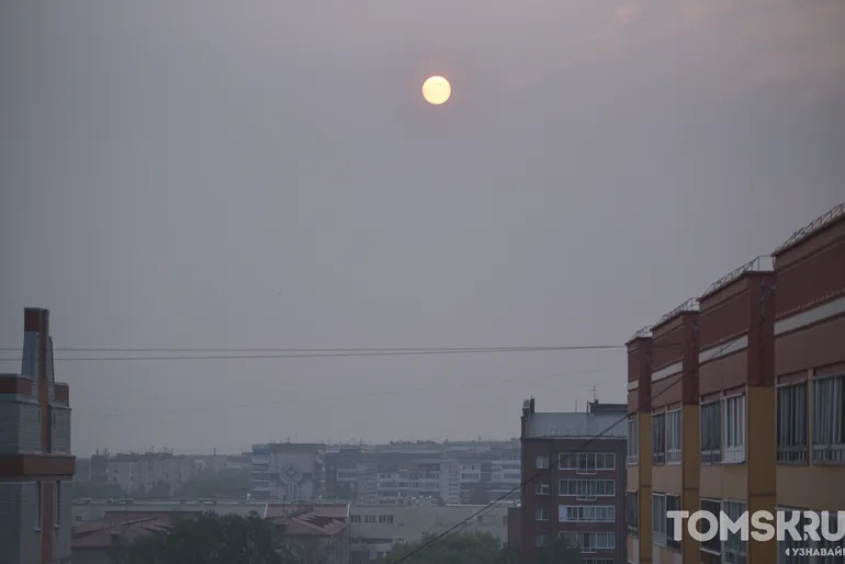 Ученые ТГУ объяснили нашествие комаров и мошек в Томской области
