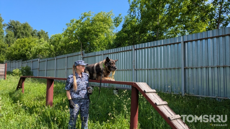 «Это не просто служебный пес, это товарищ»: фоторепортаж ко Дню кинолога