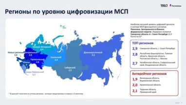 Два региона Сибири вошли в число лидеров по цифровой зрелости сектора МСП