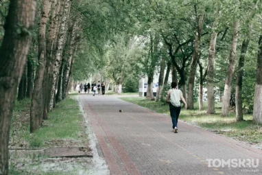 Мэрия Томска ответила на претензии ландшафтников. Эксперты заявили, что их замечания игнорируются