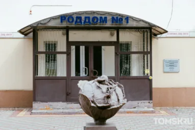 Детский омбудсмен: за десятилетие рождаемость в Томской области снизилась почти вдвое