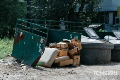 РЭО обязал власти Томской области за 2 недели навести порядок на мусорных площадках