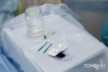 Клещи отступают: в Томске снизилось количество пострадавших от укусов