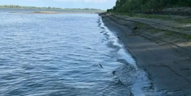 СК начал проверку после гибели 19-летней девушки в Оби