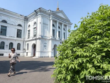 ТГУ научит преподавателей 53 вузов использовать нейросети на занятиях по химии