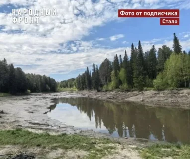 Общественники считают экологической катастрофой обмеление озера в поселке Мирном под Томском