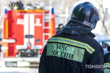 В Томской области объявлена чрезвычайная пожароопасность 5 класса