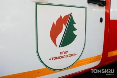 Еще четыре лесных пожара потушили в томских лесах