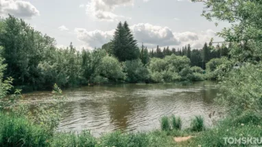 В Томской области горят 32 очага лесных пожаров