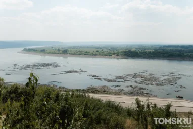 На Томи и Ушайке в Томске начался период обмеления. Фото
