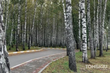 Томские аллергологи приняли более 7 тысяч пациентов за полгода