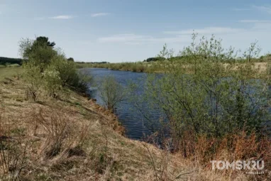 В Томской области мужчина утонул в озере