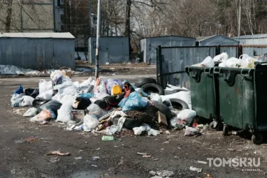 Мэр внедрил новую схему контроля за вывозом мусора в Томске
