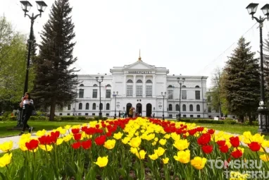 Томская ученая разработала систему оценки качества перевода музейных текстов