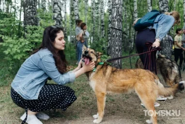Томичей зовут на «Мохнатый квест» по городским заведениям с собаками