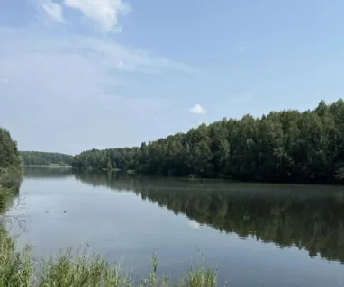 Уникальный таежный ландшафт в Томской области получит защиту