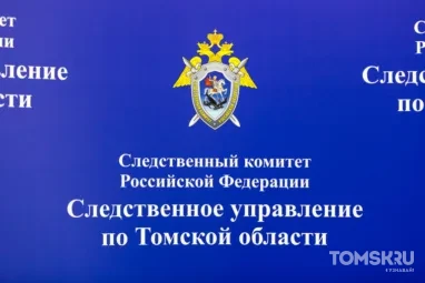 СК проверяет видео из томского села, где 2-летнего малыша бьют по лицу