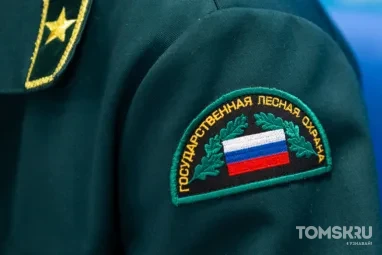В лесах Томской области за сутки потушили 8 пожаров, еще 8 действуют