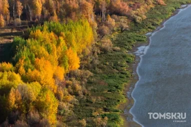 В лесах Томской области действуют 10 пожаров