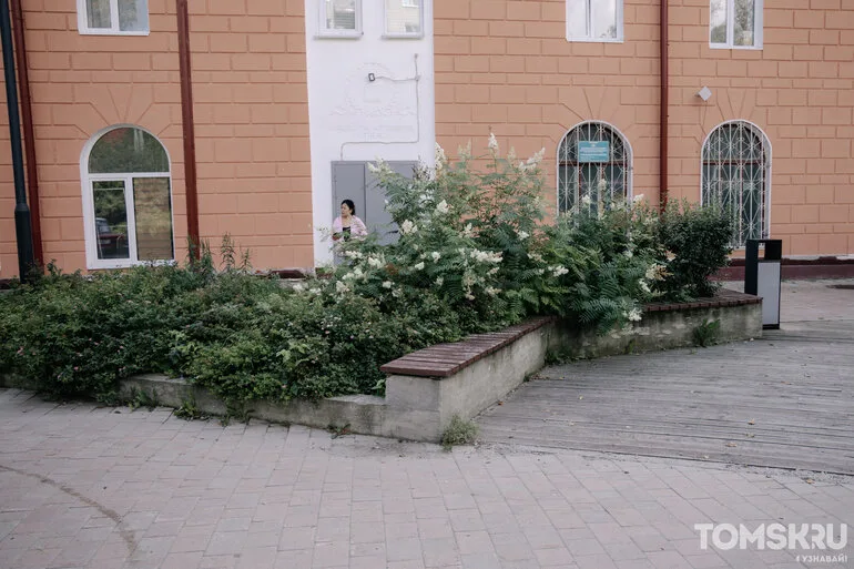 Террасные доски сломали в «Саду ветра» напротив «Лампочки» в Томске