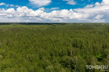 Два лесных пожара потушили в Томской области за сутки