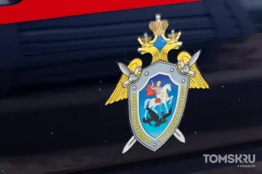 СК начал проверку после конфликта на парковке с саперной лопатой в Томске