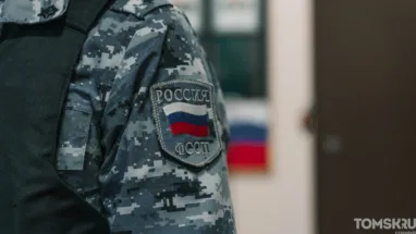 Приставы арестовали самосвал томички, которая задолжала 2,5 млн рублей налогов